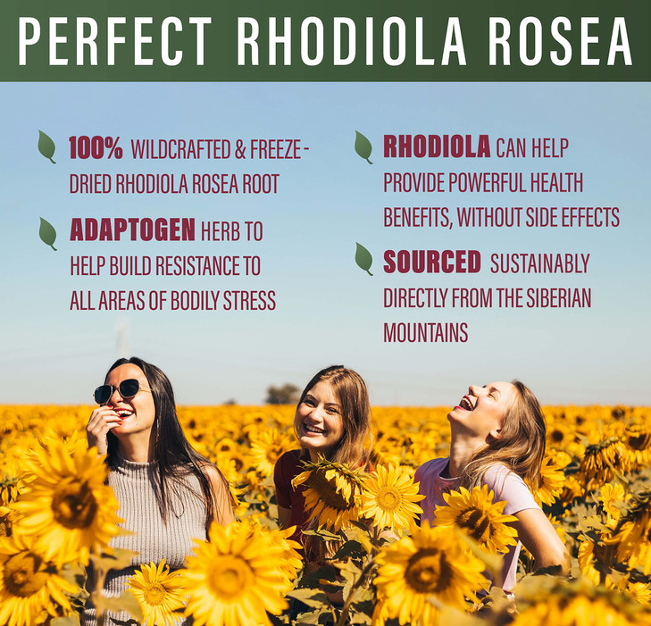 Perfect Supplements - Perfect Rhodiola Rosea - 60 Capsules