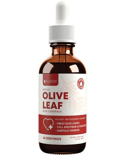 Rejuvica Active Olive Leaf Extract