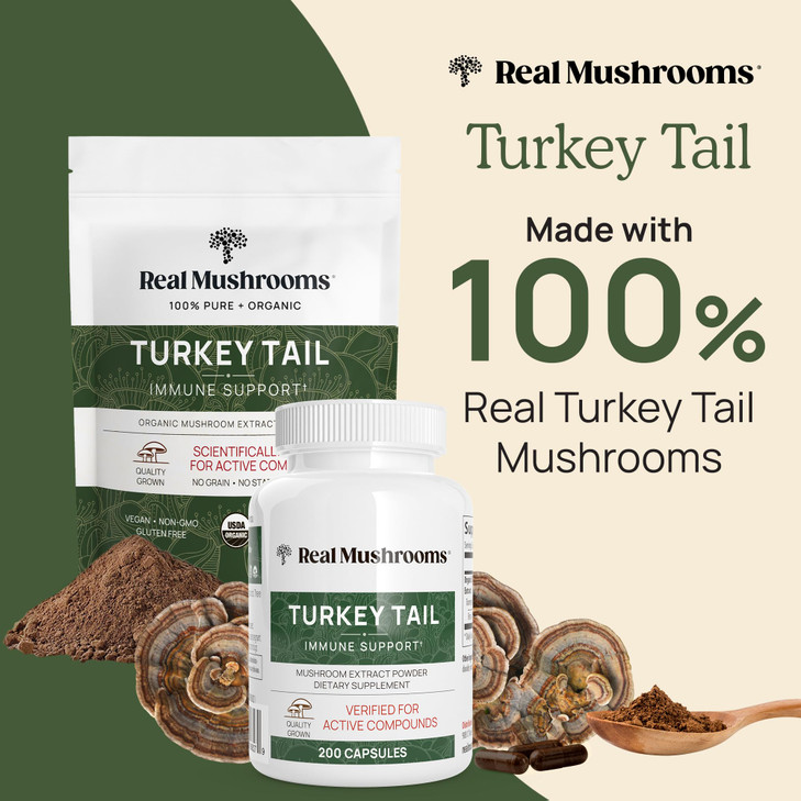 Real Mushrooms Turkey Tail Capsules