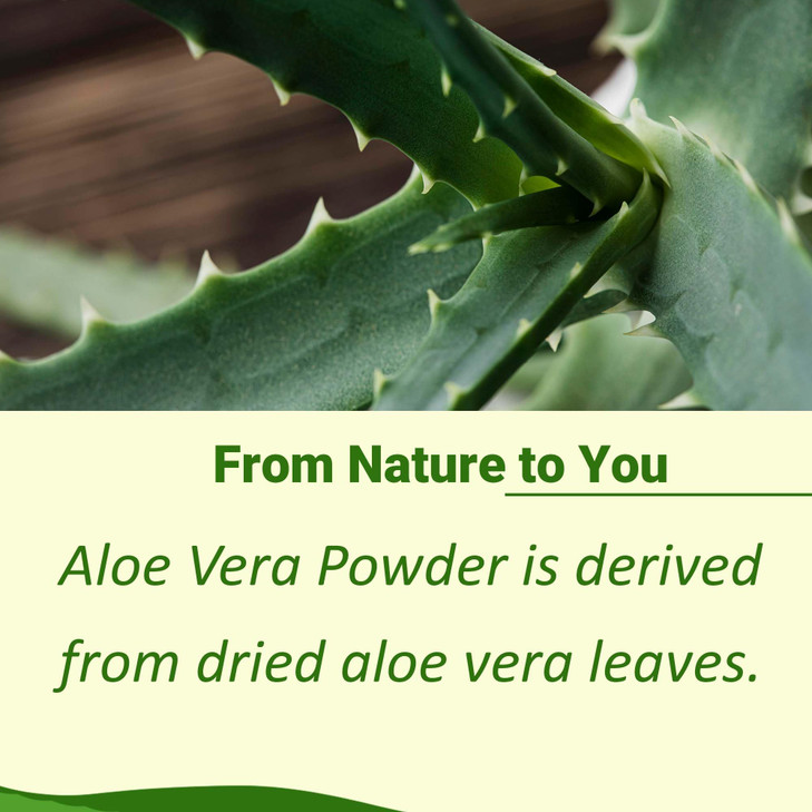 minature 100% Aloe Vera Powder (Aloe Barbadenis) 227g (8 oz)| Pure Aloe Vera