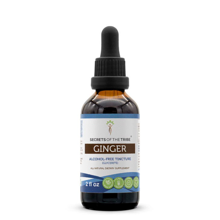 Secrets of the Tribe Ginger Tincture Alcohol-Free Extract, Ginger (Zingiber