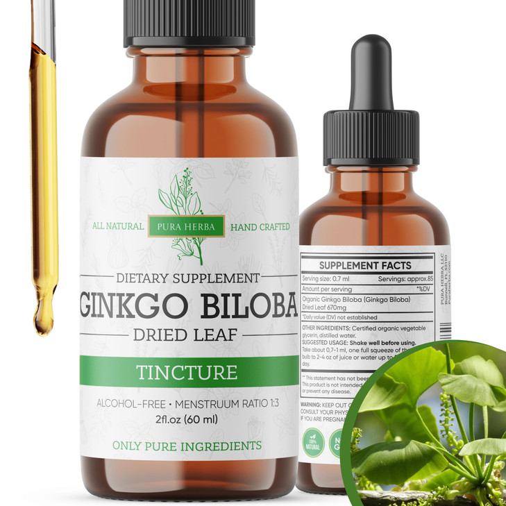 Pura Herba Ginkgo Biloba Extract Liquid 2 Fl Oz, Supplements for Brain Function