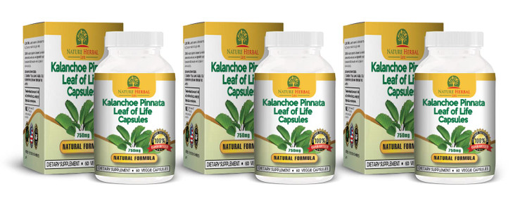 Nature Herbal Life Kalanchoe Pinnata-Leaf of Life-Cathedral Bells 750mg