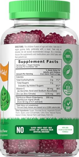 Carlyle Elderberry Gummies for Kids - 120 Count