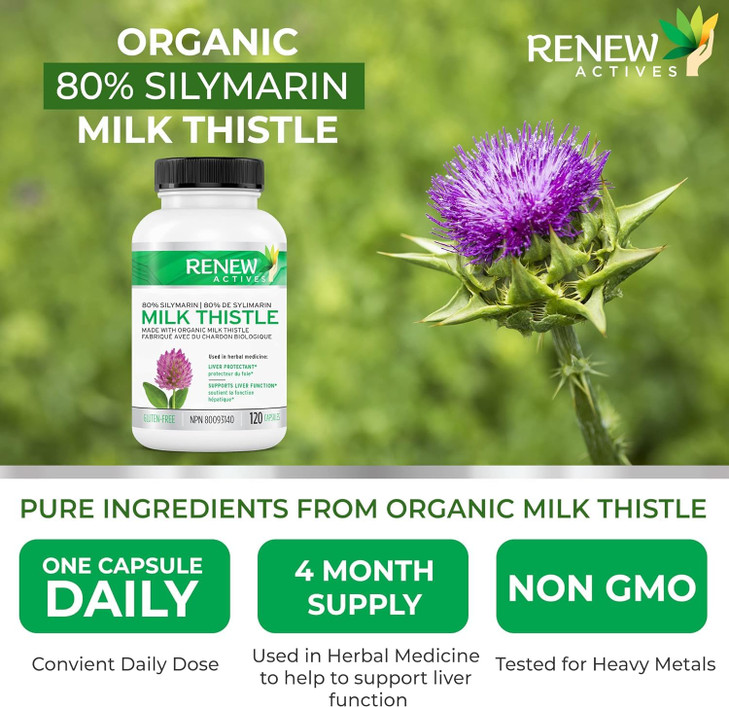 Renew Actives Milk Thistle Capsules 175MG per Serving Organic Seed Extract