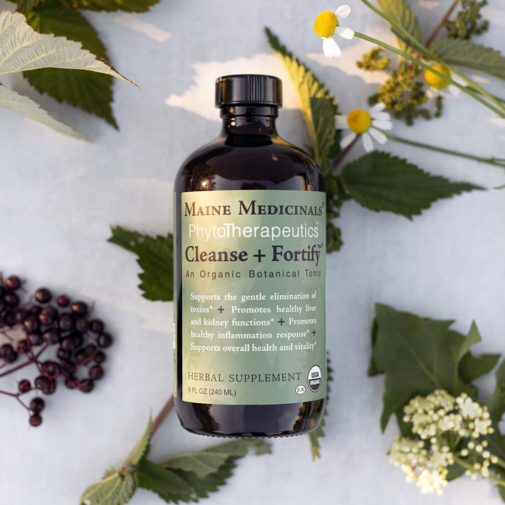 Maine Medicinals Cleanse + Fortify Organic Liver Detox and Kidney Cleanse