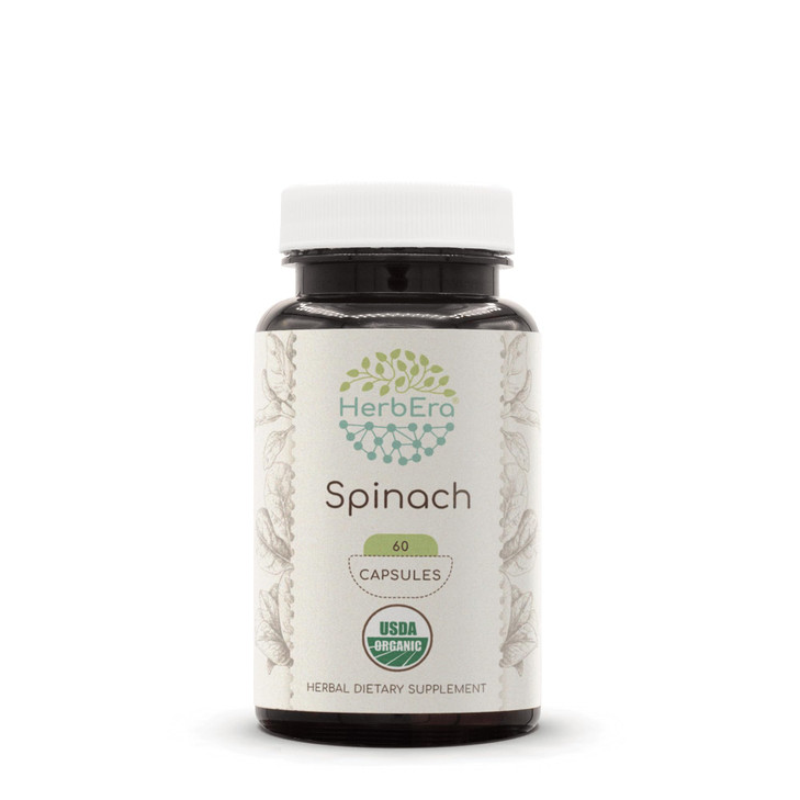 HerbEra Spinach 60 Capsules, 500 mg, USDA Organic Spinach (Spinacia oleracea)