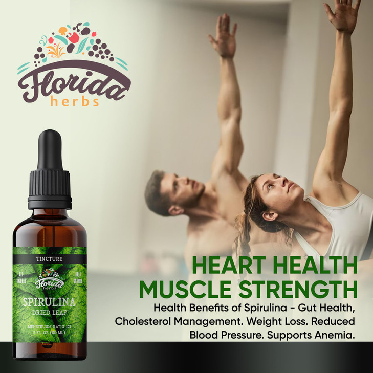 FLORIDA HERBS Spirulina Tincture, Organic Spirulina Extract (Arthrospira