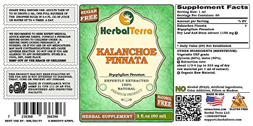 Herbal Terra LLC Kalanchoe Pinnata (Bryophyllum Pinnatum) Glycerite, Dried