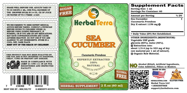 Herbal Terra LLC Sea Cucumber (Cucumaria Frondosa) Glycerite, Dried Sea Cucumber
