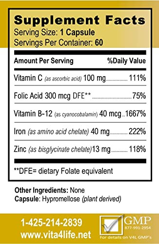 Vita4Life! Iron Support Plus