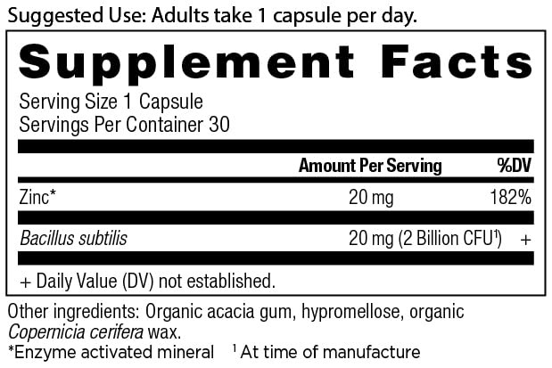 Ancient Nutrition Probiotics and Zinc Supplement, Supports Healthy Immune System