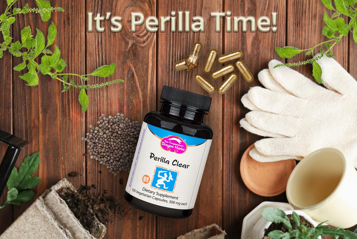 Dragon Herbs - Perilla Clear Capsules - 60 Capsules, 500 mg Each