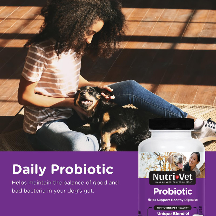 Nutri-Vet Probiotics for Dogs, Dog Probiotics for Digestive Health, Puppy