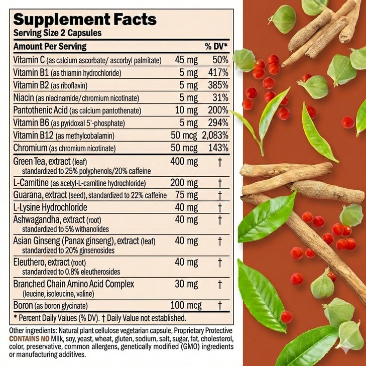 ANDREW LESSMAN Energy and Fat Metabolism Factors 60 Capsules