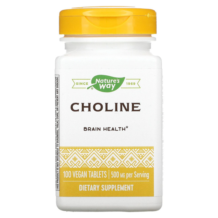 Natures Way 500Mg 100 Tb Choline, 100 CT