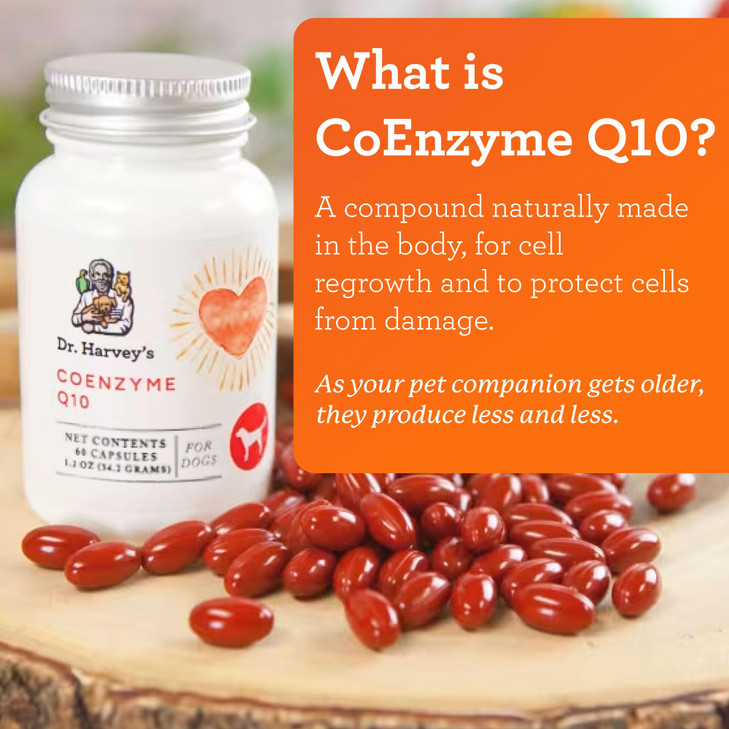 Dr. Harvey's Coenzyme Q10