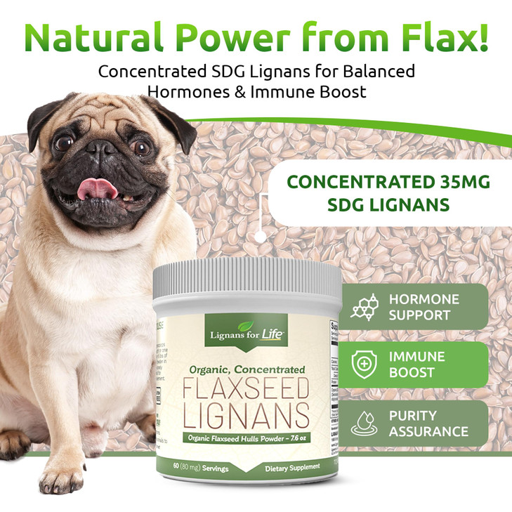 Lignans for Life - Natural Bulk Ground Flaxseed Powder