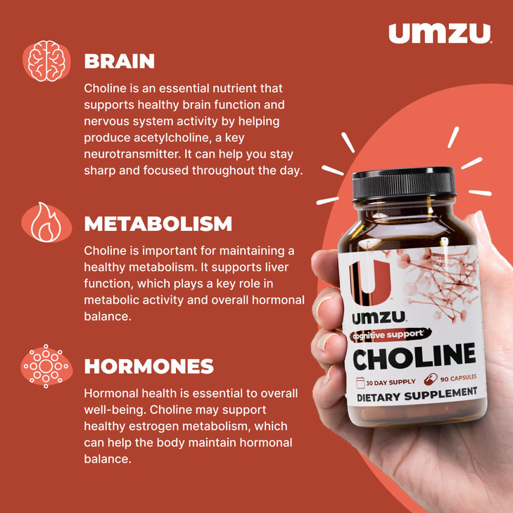 UMZU Choline Brain & Hormonal Support Supplement, (30 Day Supply)