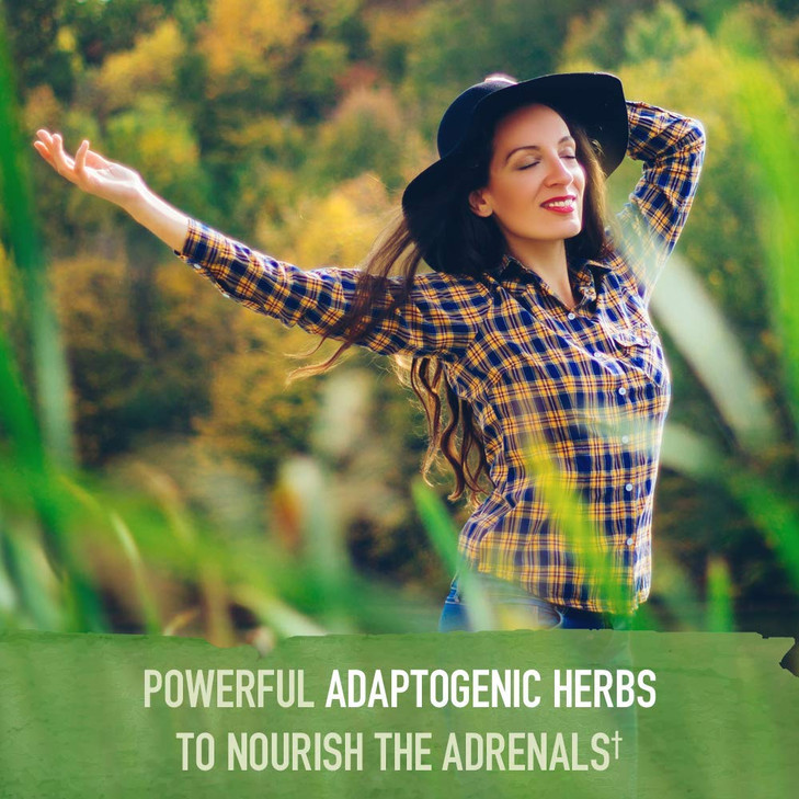 Garden of Life Organics Adrenal Daily Balance, Adaptogenic Herbs Ashwagandha