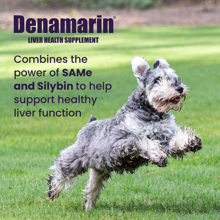 Nutramax Laboratories Denamarin Liver Health Supplement for Medium Dogs