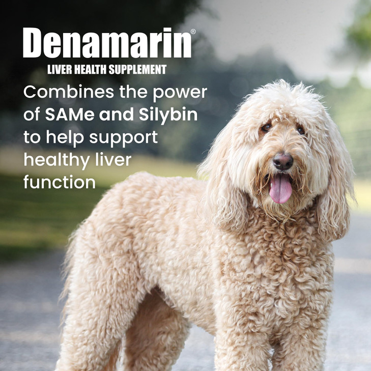 Nutramax Denamarin Liver Health Supplement for Large Dogs