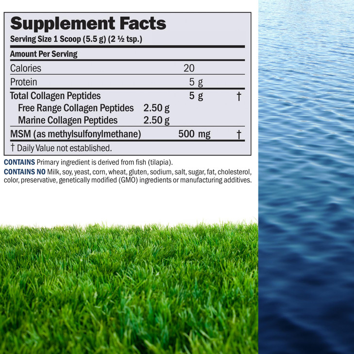 ANDREW LESSMAN Marine, Free Range Collagen Peptides Powder and MSM 240 Servings
