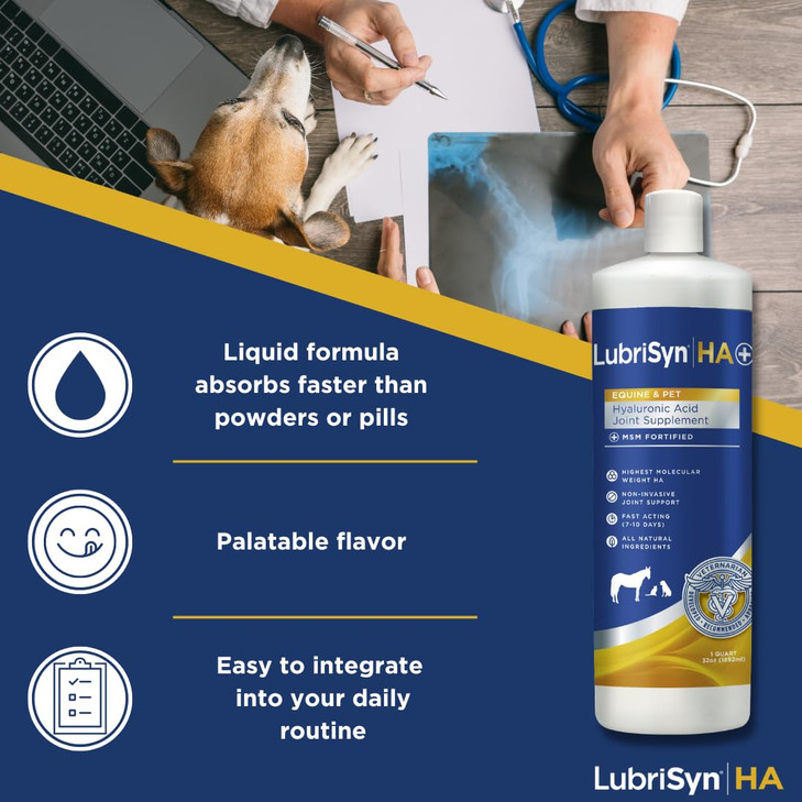 LubriSynHA Hyaluronic Acid with MSM Hip & Joint Care Supplement for Dogs, Cats &