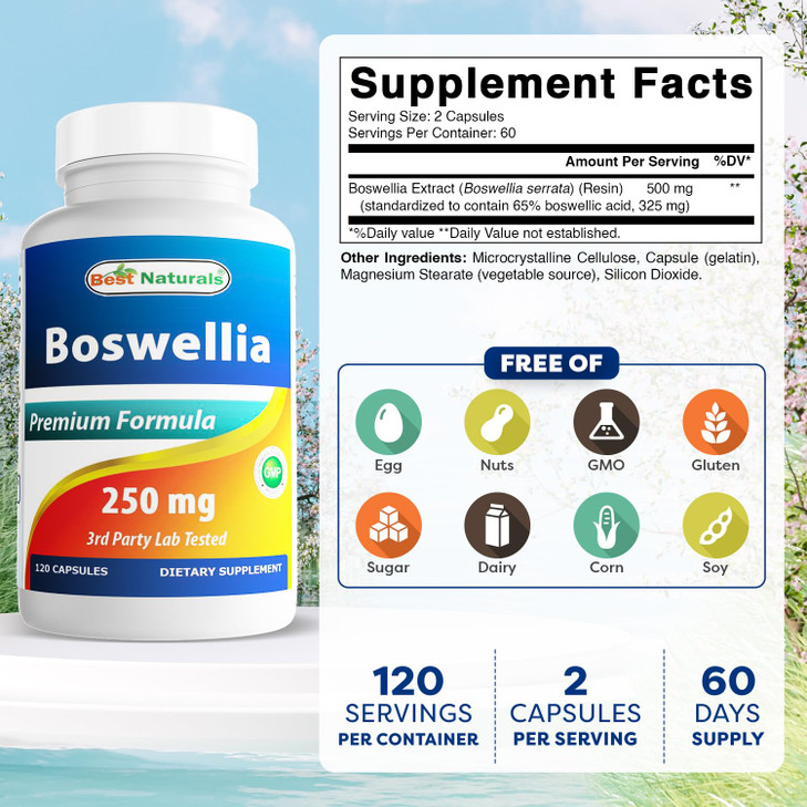 Best Naturals Boswellia Serrata Joint Health 250 mg 120 Capsules