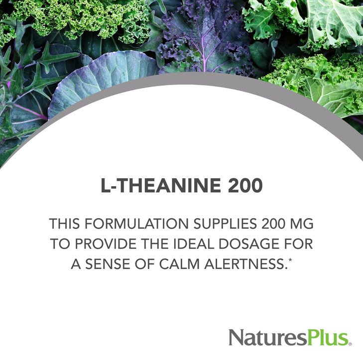 Natures Plus PRO L-Theanine - 60 Capsules