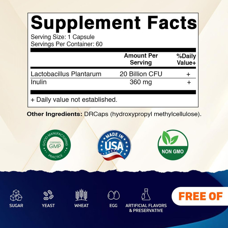 Vitamatic Lactobacillus Plantarum - 20 Billion per DR Capsule - 60 Count