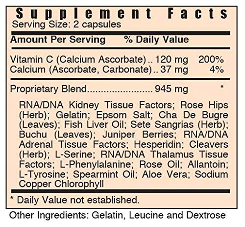 Systemic Formulas K Kidney Bio Function #56