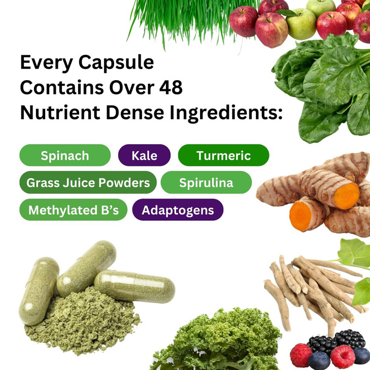 Paradise Herbs Earth's Blend Women's Once Daily Multivitamin with Iron, 48