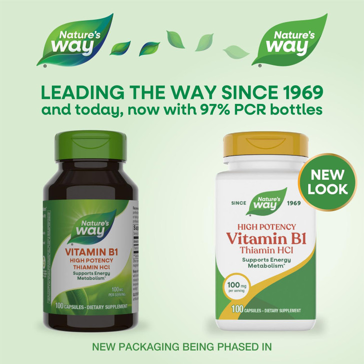Nature's Way Vitamin B1, High Potency, 100 mg Thiamin per Serving, Thiamin HCl