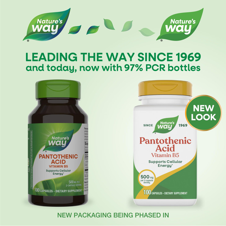 Nature's Way Pantothenic Acid, Supports Cellular Energy*, 500mg Per Serving, 100