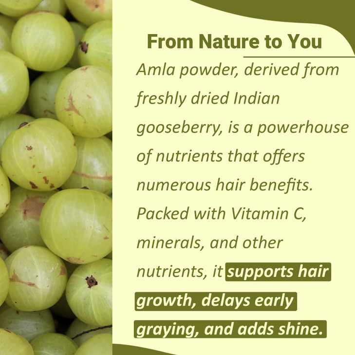 minature 100% Pure Amla Powder 100g (3.5 oz) |Natural Vitamin C Rich Indian