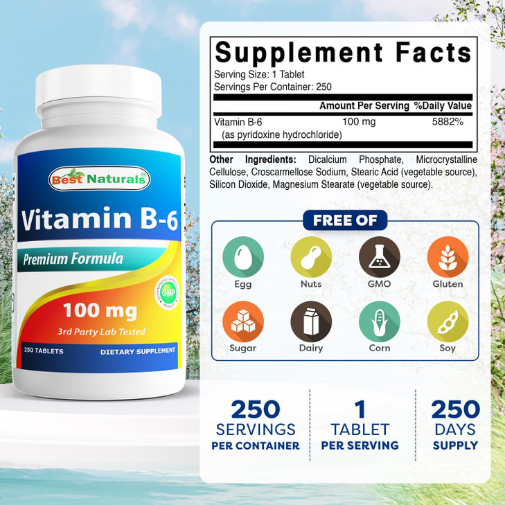Best Naturals Vitamin B6 Tablet, 100 mg, 250 Count