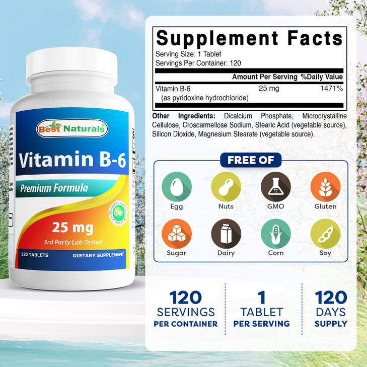 Best Naturals Vitamin B6 25mg, 120 Tablets (120 Count (Pack of 2))