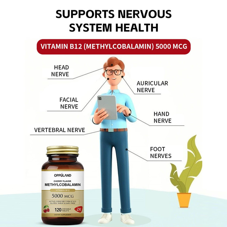 oppuland Methyl B-12 5000mcg Chewable with Folate