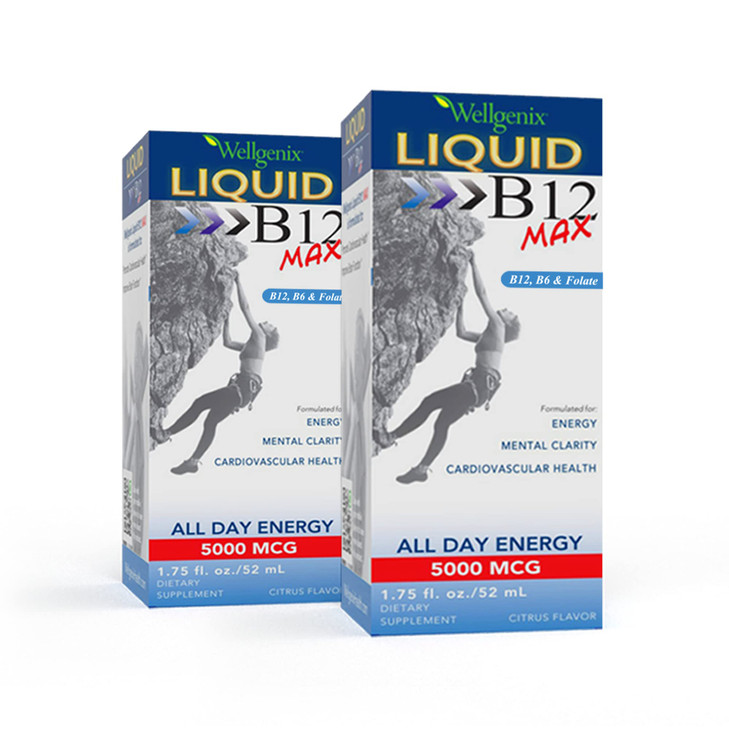 Wellgenix B12 Max Liquid - Vitamin B6, B12 & Folate-High Absorption