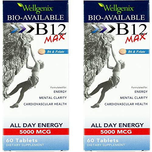 Wellgenix Bio-Available Sublingual B12 Max - Formulated for High Absorption