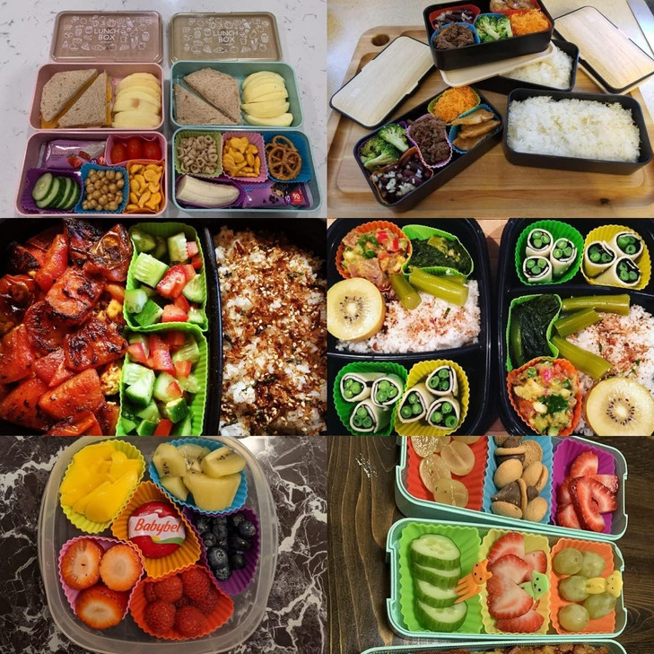 WSmelon Silicone Lunch Box Dividers24 pcs Bento Box Dividers with 10 Animal PicksSilicone Bento Box InsertsCupcake Bakin