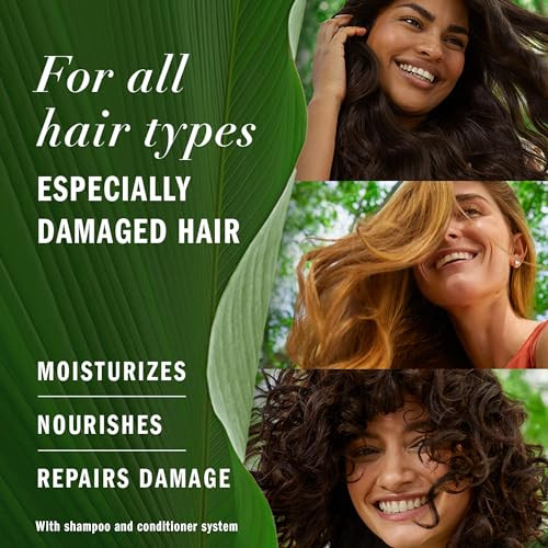 Herbal Essences Argan Oil Paraben Free Conditioner Hair Repair 202 fl oz with Certified Camellia Oil and Aloe Vera For A
