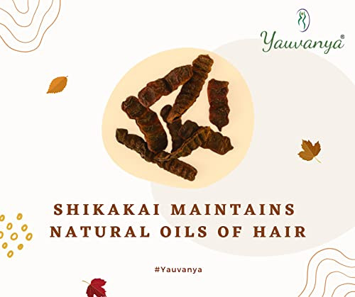 Yauvanya Shikakai Acacia Concinna Powder Natural hair conditioner and nourisher 100 gms