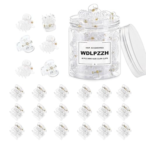 48pcs Mini Hair Claw Clips for Women Girls, Small Tiny Hair Clips Claws Little Plastic Jaw Clamps Clips with Transparent Box (Black/Brown/Clear)