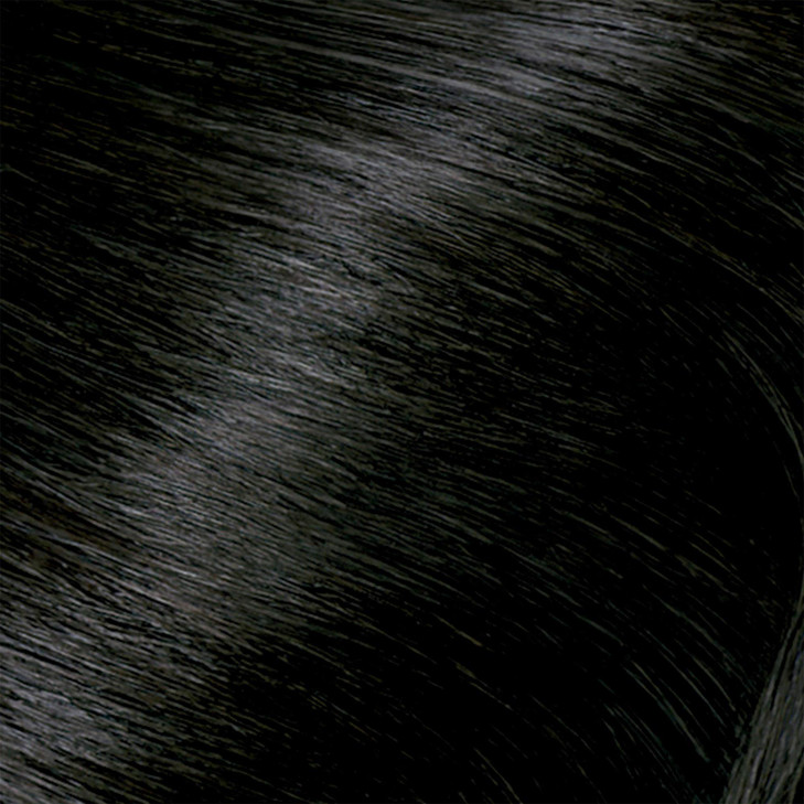 Clairol Nicen Easy Perfect 10 Permanent Hair Dye 2 Black Hair Color Pack of 2
