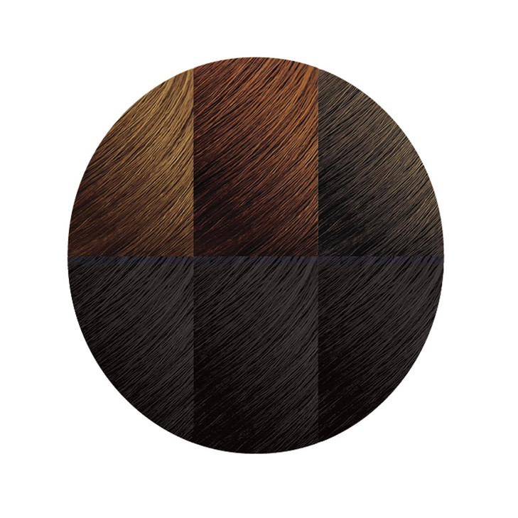 Moisture Rich Liquid Hair Color by Creme of Nature C10 Jet Black with Shea Butter Conditioner 1 Application
