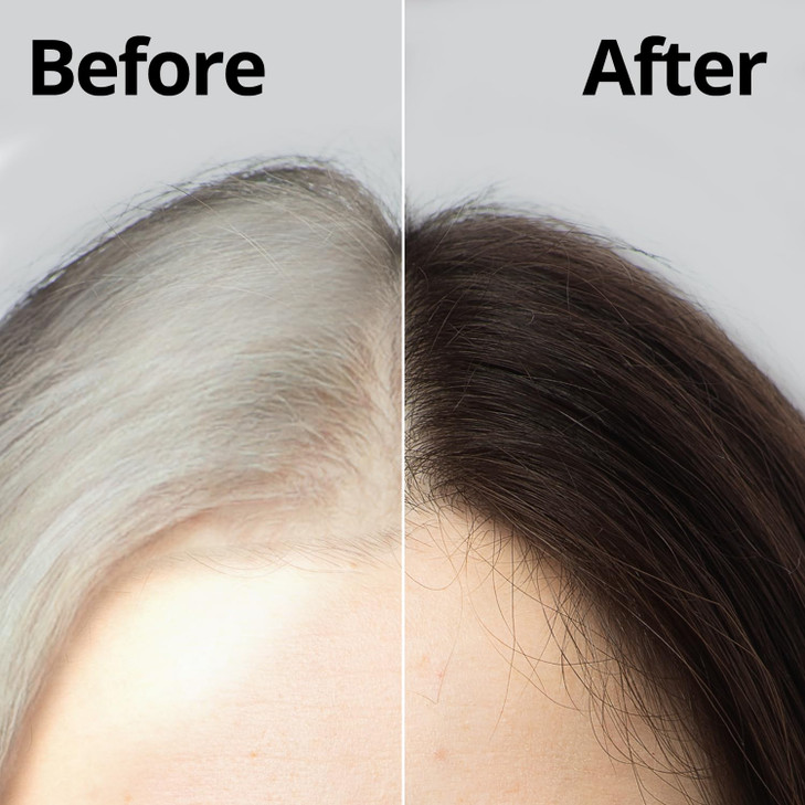 Daeng Gi Meo Ri Korean Herbal Hair Dye Color Cream Dark Brown 2PACK PPDFree Gray Coverage Hair Protection HighKeratin Fo