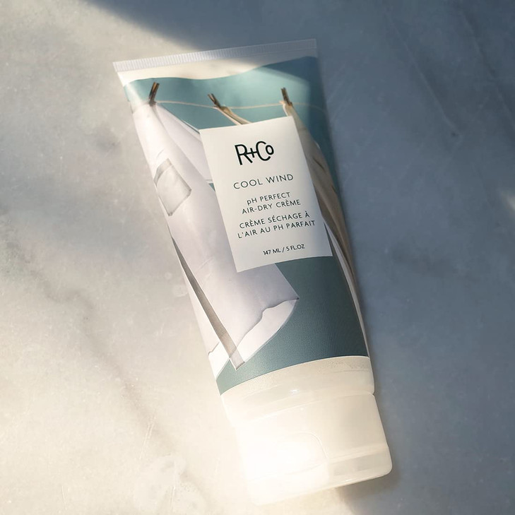 RCo Cool Wind pH Perfect Air Dry Hair Cream 5 Oz Hydrates Tames Softens Vegan CrueltyFree