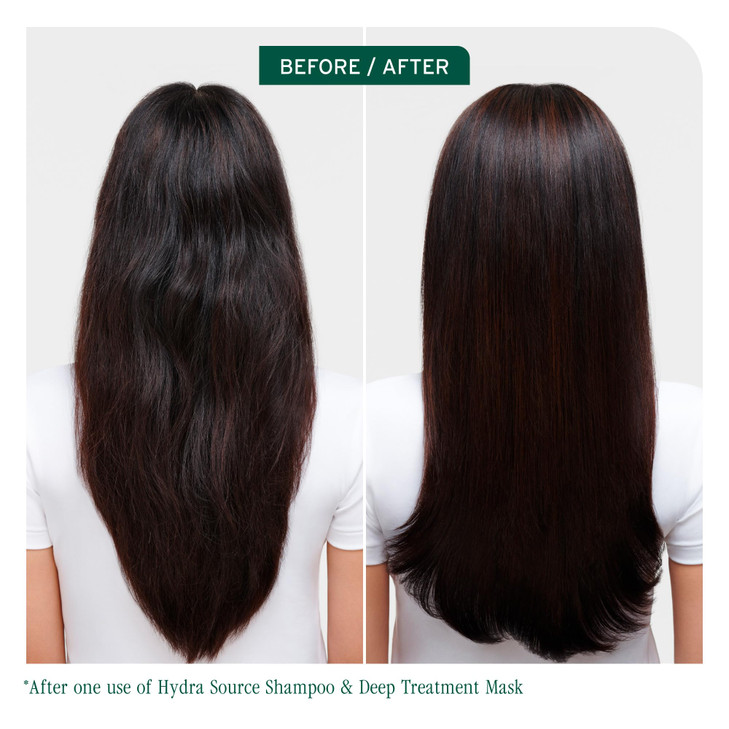 Biolage Hydra Source Deep Treatment Mask Nourishes Smooths For Dry Hair Infused with MicroFiltered Aloe Vera Fermented H